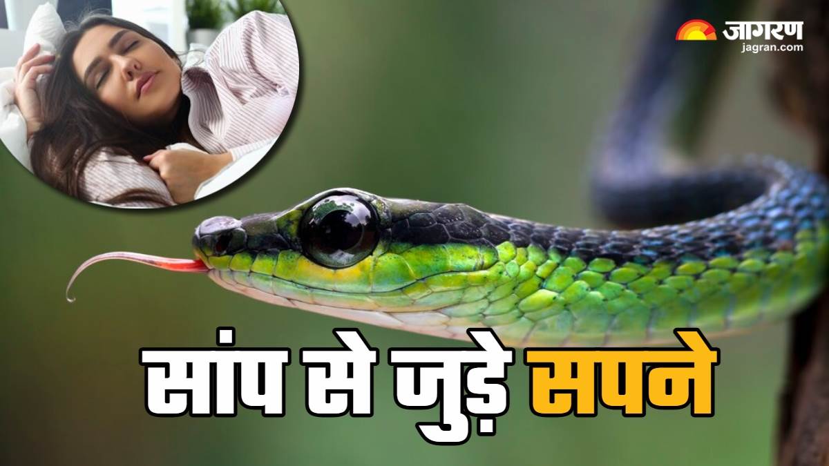 https://www.jagranimages.com/images/newimg/28022025/28_02_2025-snake_in_dream_2_23892369.jpg