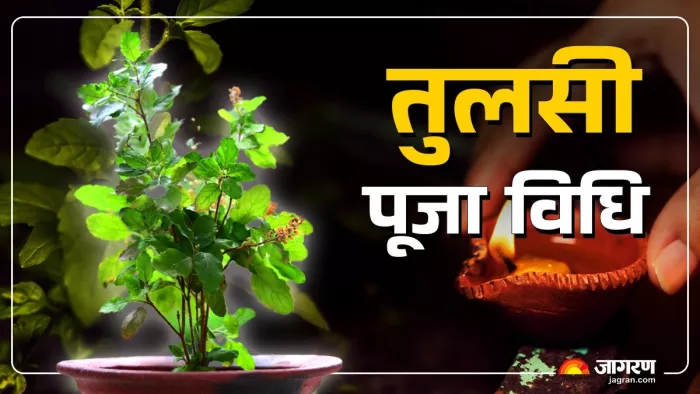 Amalaki Ekadashi 2025: आमलकी एकादशी 2025 शुभ मुहूर्त।