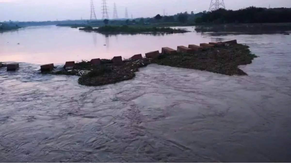 यमुना में अमोनिया बढ़ने से तीन जल शोधन संयंत्रों से पानी आपूर्ति प्रभावित, दिल्ली के इन इलाकों में होगा असर