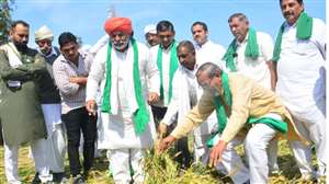 किसान नेता राकेश टिकैत ने बारिश और ओलावृष्टि से बर्बाद हुई फसलों का जायजा लेने पहुंचे।