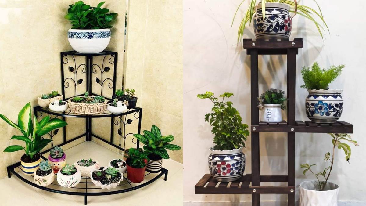 Best Plant Stand: इन स्टैंड से बढ़ जाएगी पौधों की खूबसूरती, मामूली प्राइस में बालकनी का होगा मेकओवर