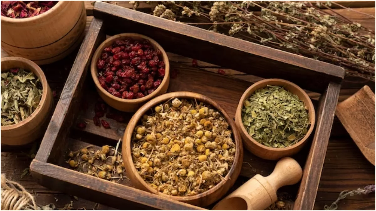 Herbs For Fertility: पुरुषों और महिलाओं में प्रजनन क्षमता को बढ़ाती हैं ये 7 आयुर्वेदिक हर्ब्स