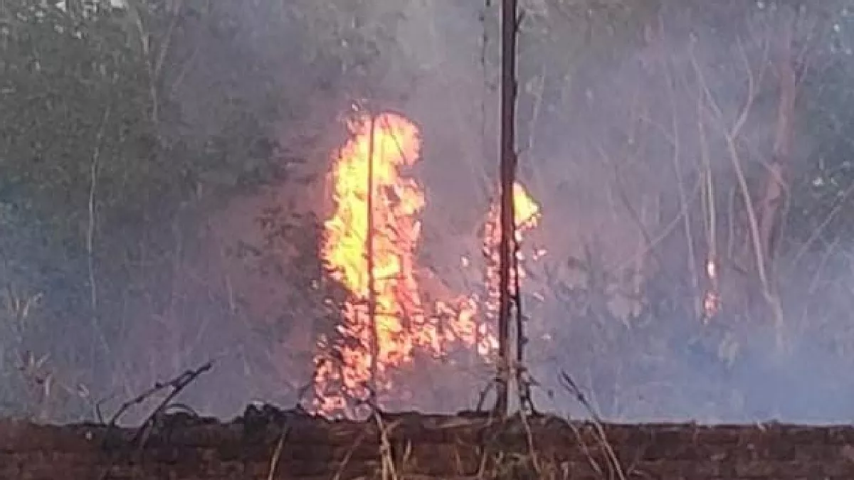 Haridwar: बंद पड़ी स्टर्डिया फैक्ट्री परिसर में उगी झाड़ियों में लगी आग, ढाई घंटे की मशक्कत के बाद पाया काबू