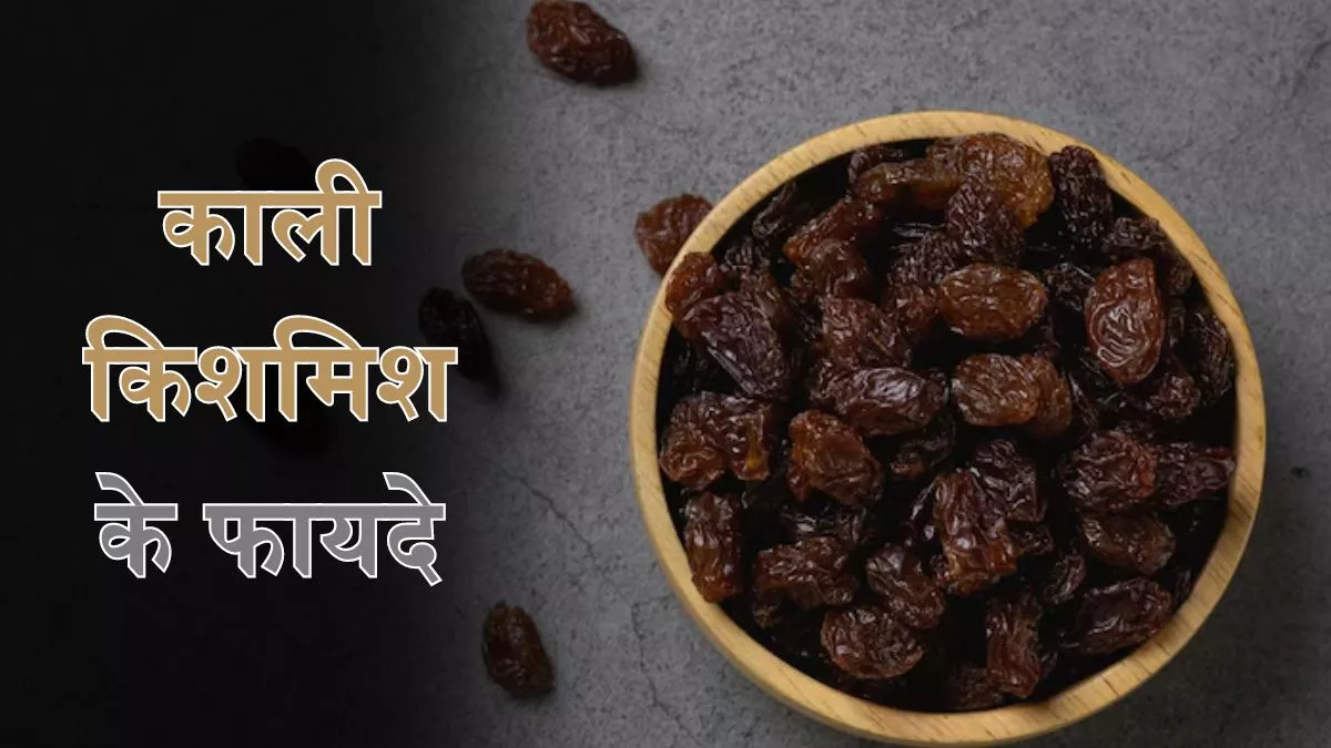 Black Raisin Benefits: आंखों की रोशनी बढ़ाने में मददगार है किशमिश, जानें इसे खाने के 6 लाजवाब फायदे