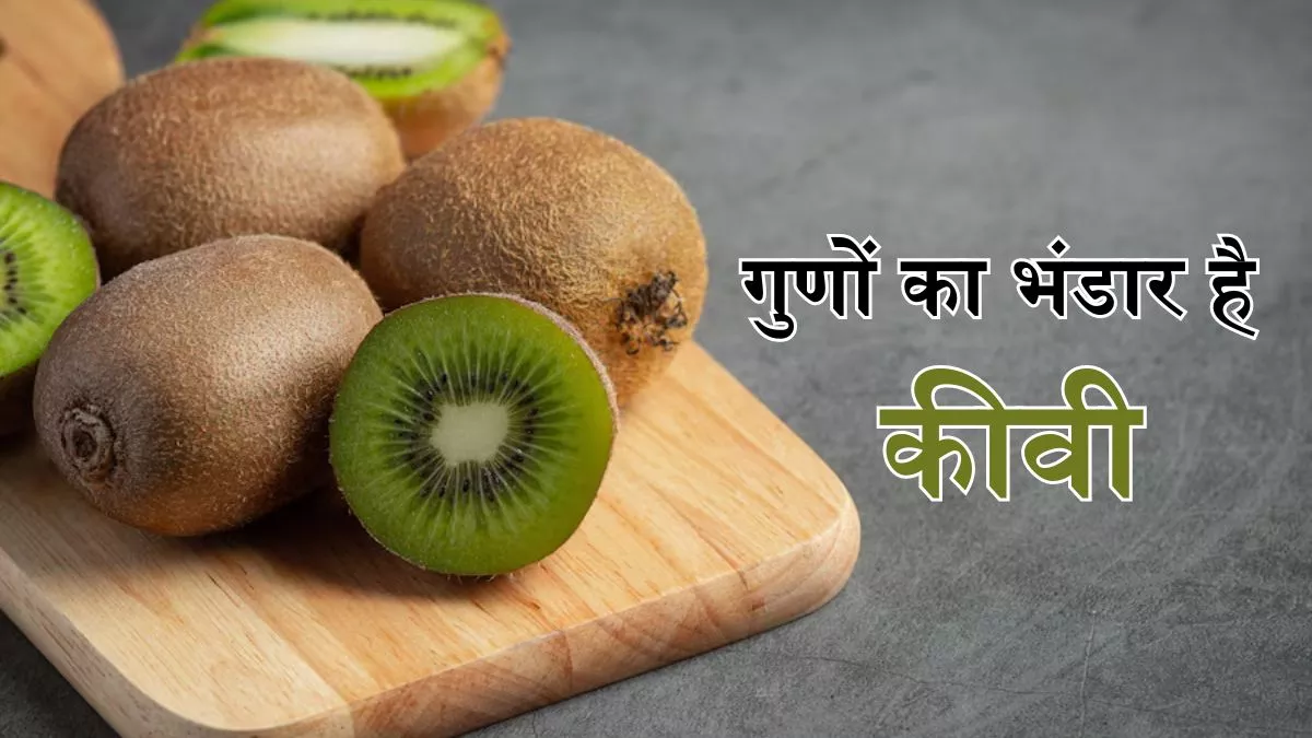 Kiwi Benefits: सेहत दुरुस्त करने के साथ ही त्वचा निखारता है कीवी, इन 5 वजहों से आप भी बनाएं इसे डाइट का हिस्सा