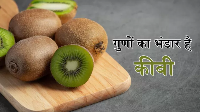 कीवी खाने से सेहत को मिलेंगे ये शानदार फायदे