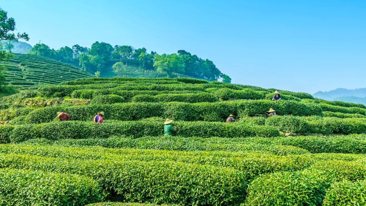 Long Weekend Destinations: गुड फ्राइडे के लंबी छुट्टी में निकल जाएं इन कम खर्चीली जगहों की सैर पर