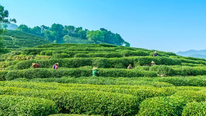 Long Weekend Destinations: लॉन्ग वीकेंड के लिए बेस्ट हैं ये जगहें