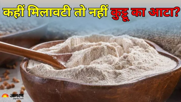 बाजार से कुट्टू का आटा खरीदते समय इन बातों का रखें ध्यान। (Image Credit- Freepik)