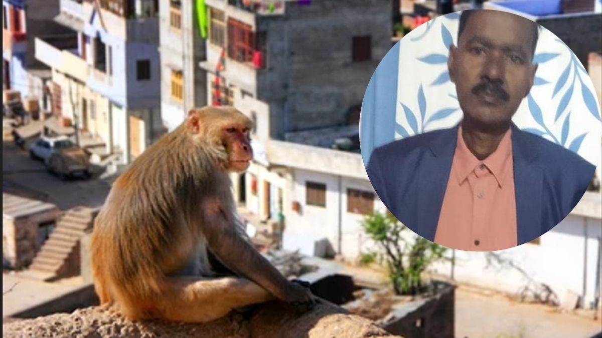 elderly man succumbs to injuries after fall from roof while trying to escape monkey attack