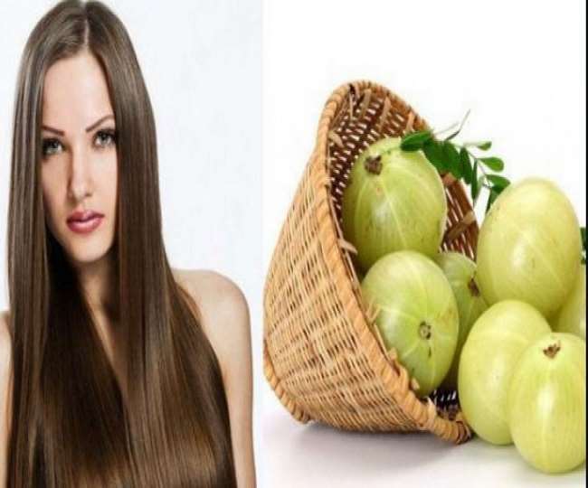 Home Remedies For Grey Hair: औषधीय गुणों से भरपूर आंवला कैसे सफेद बालों को काला करता है, जानिए फायदे - Gooseberry can treat your white and damange hairs Home Remedies For Grey Hair: औषधीय गुणों से भरपूर आंवला कैसे सफेद बालों को काला करता है, जानिए फायदे - Gooseberry can treat your white and damange hairs