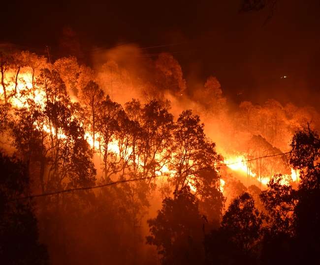 in uttarakhand from april till now the loss of 2 lakh 28 thousand daily due to forest fire