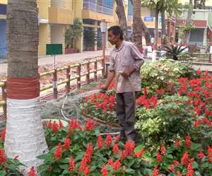 इस्&zwj;तेमाल किए गए पानी को शोधित करने के बाद फुलवारी की सिंचाई करता शांतिकुंज का साधक।