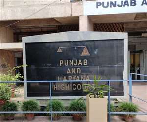 पंजाब एवं हरियाणा हाई कोर्ट की फाइल फोटो।