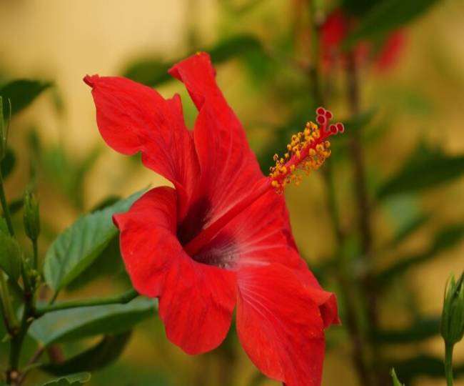 News Article Hero Image