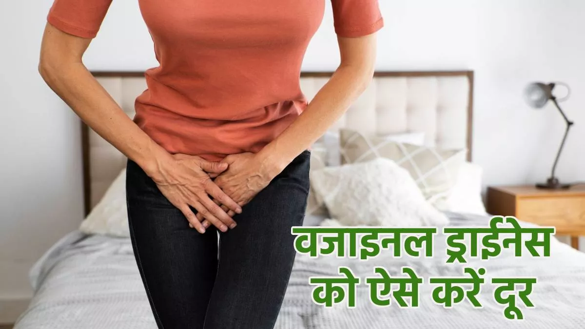 Vaginal Dryness: वजाइनल ड्राईनेस दूर करने में बेहद असरदार हैं ये नुस्खे