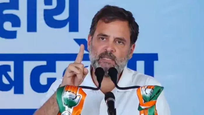 एक जनसभा में राहुल ने कहा था, राजा-महाराजा एससी और एसटी की जमीन छीन लेते थे। (फाइल फोटो)