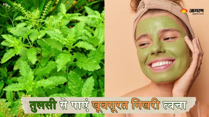 तुलसी के इन फेस पैक्स से मिलेगा कमाल का निखार