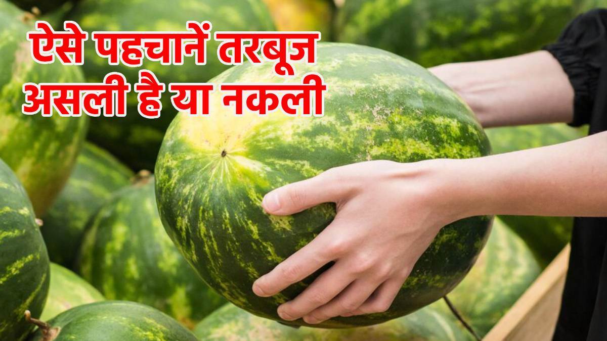 Watermelon Real vs Fake इन आसान तरीकों से करें पहचान, तरबूज असली है या