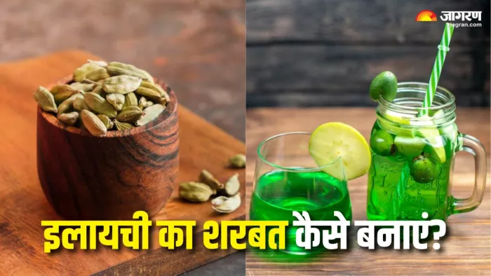 Elaichi ka Sharbat: इस आसान रेसिपी से बनाएं ठंडा और टेस्टी इलायची का शरबत (Picture Courtesy: Freepik)