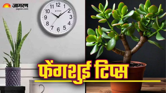 Feng Shui Tips घर में किन चीजों को नहीं रखना चाहिए?