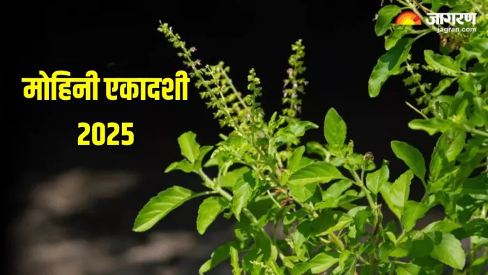 Mohini Ekadashi 2025: तुलसी से जुड़े नियम