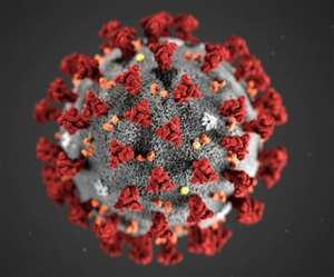 कोरोना वायरस की उत्&zwj;पत्ति का मुद्दा हर दिन जोर पकड़ता जा रहा है।