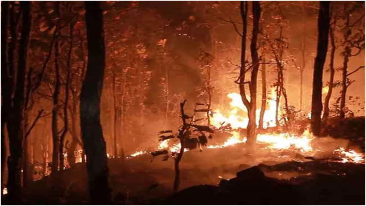 Himachal News: जंगलों को आग से बचाने के लिए वन विभाग की बड़ी पहल, बनाई रैपिड रिस्पॉन्स टीम; ऐसे करेगी काम