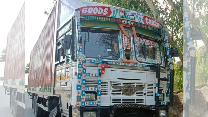लावारिस कंटेनर में मिले भैंस-पड़रों के 80 शव