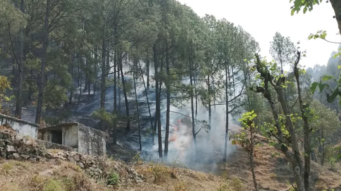 Uttarakhand Forest Fire: वनकर्मी और फायर की टीम जुटी रही आग बुझाने में
