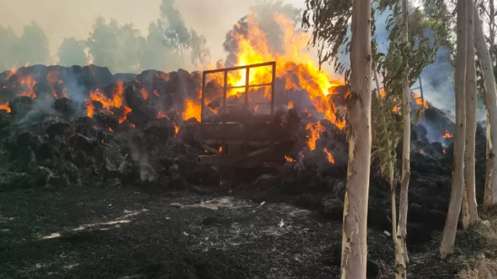 Punjab Fire News: पंजाब के मुक्तसर में खेतों में लगी भीषण आग, ट्रैक्टर समेत चार ट्रालियां जलकर खाक