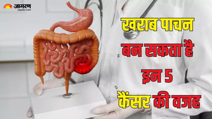 एक्सपर्ट से जानें 5 डाइजेस्टिव कैंसर के बारे में (Picture Credit- Freepik)