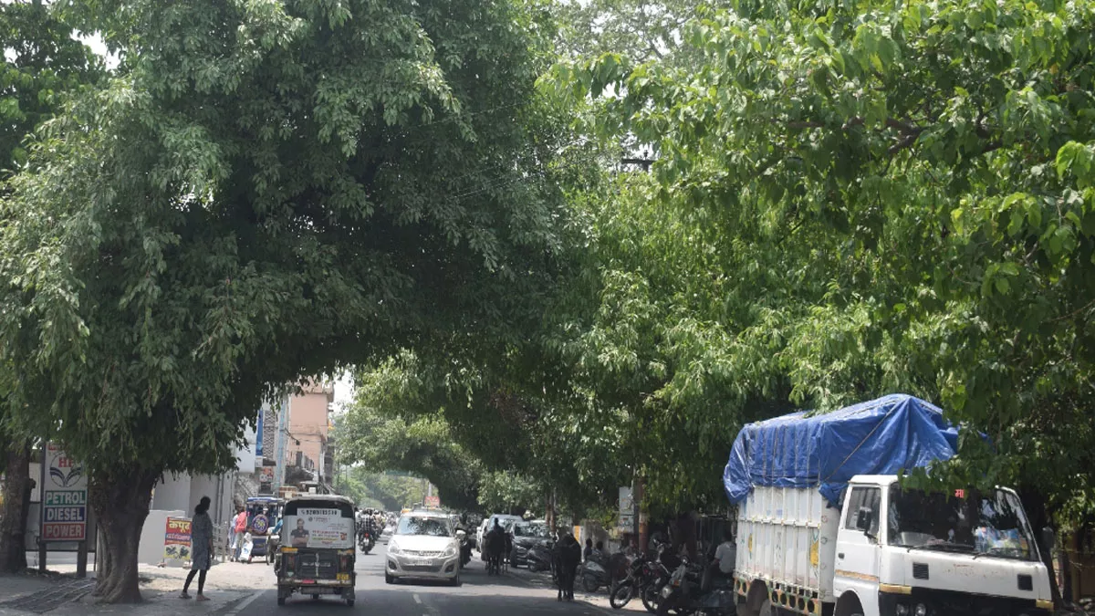 पेड़ों की छांव मिली तो Uttarakhand के इस शहर में ठंडी हो गई 'सड़क', गर्मी से बचने के लिए लोग करते हैं इस रास्ते का प्रयोग