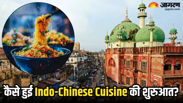 Indo-Chinese Cuisine: कैसे हुई थी इंडो-चाइनीज क्यूजीन की शुरुआत? (Image Source: Freepik)