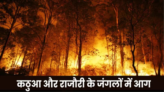 धू-धूकर जल रहे कठुआ और राजौरी के जंगल, कई घंटों से आग पर काबू पाने की कोशिश में वन अधिकारी