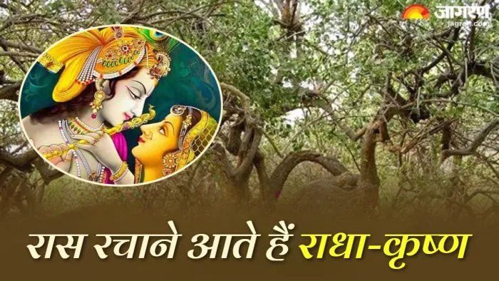 Nidhivan: आज भी यहां रास रचाने आते हैं बांके बिहारी।