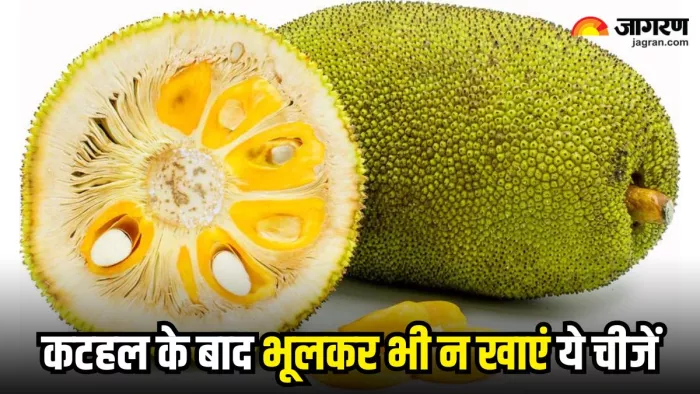 कटहल खाने के बाद न खाएं ये 5 चीजें, हो सकता है नुकसानदायक (Image Source: Freepik)