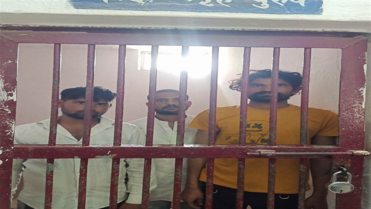three cattle smugglers arrested in gorakhpur december 2024 case