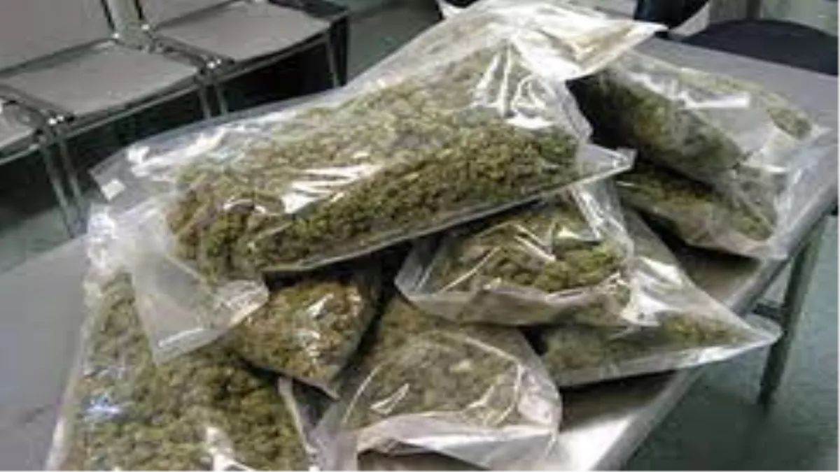 https://www.jagranimages.com/images/newimg/28052025/28_05_2025-ganja_smuggler_23949364_153522670.jpg