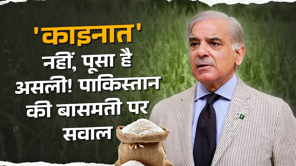पाक की बासमती साजिश का पर्दाफाश :  5.5 अरब डॉलर की फसल पर पाकिस्तानी चाल,  पूसा बासमती चुराकर पाकिस्तान की 'काइनात' बन गई दुनिया में बदनाम