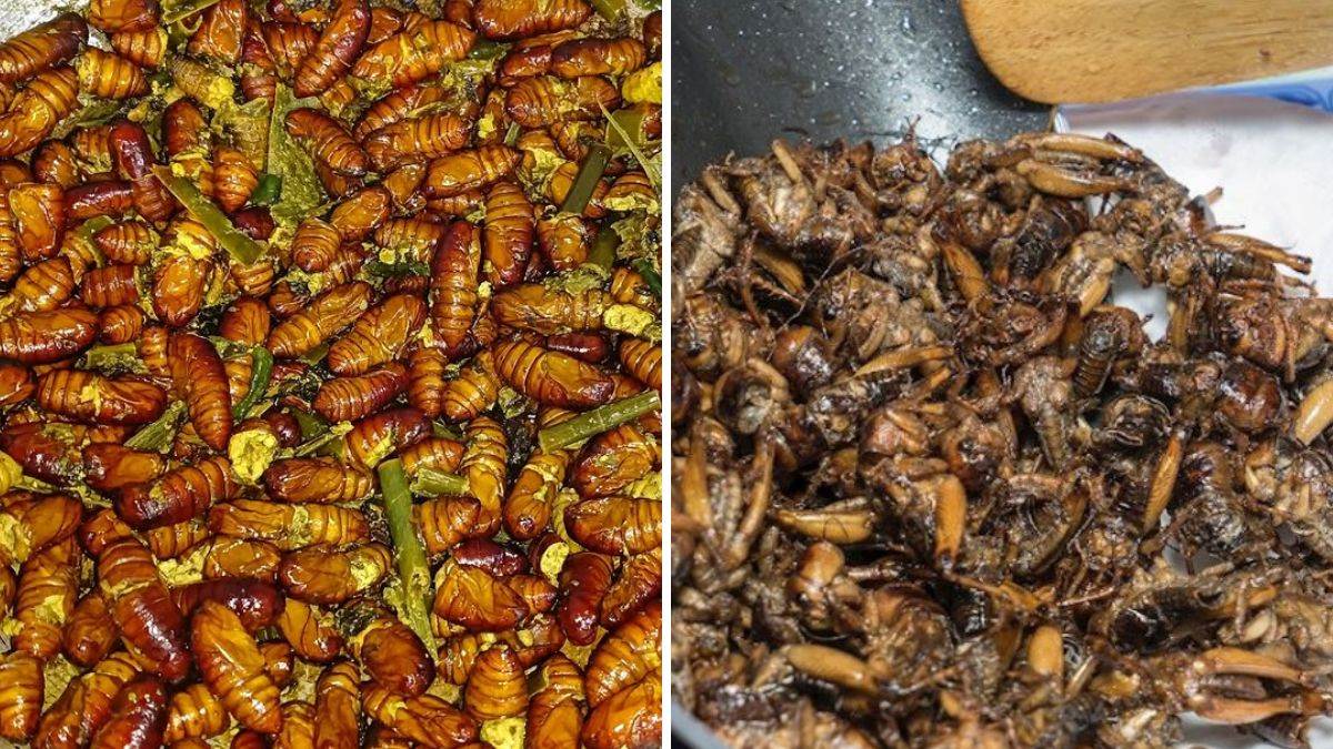 https://www.jagranimages.com/images/newimg/28052025/28_05_2025-weird_foods_1_23949089.jpg
