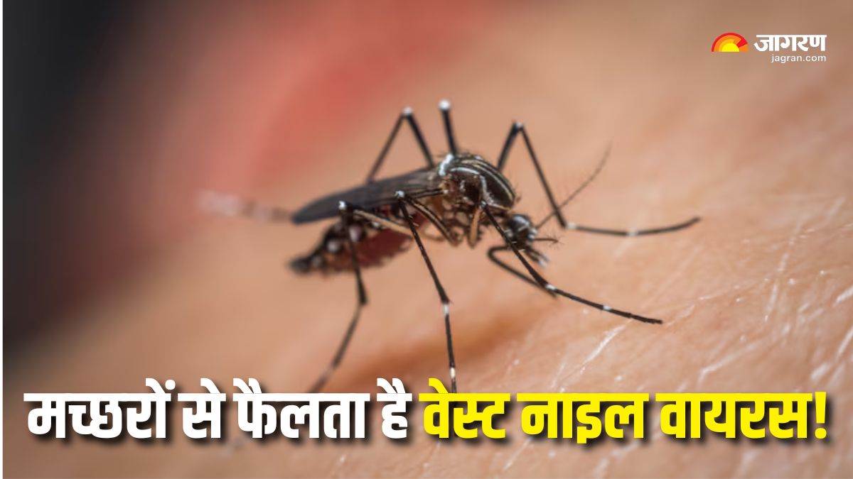 https://www.jagranimages.com/images/newimg/28052025/28_05_2025-west_nile_virus_23949053.jpg