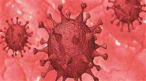 Uttarakhand Coronavirus News: उत्‍तराखंड में आज मिले कोरोना के 56 नए मामले, 16 संक्रमित हुए स्‍वस्‍थ