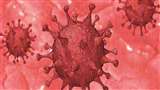 Uttarakhand Coronavirus News: उत्तराखंड में कोरोना के मामले बढ़ने का क्रम जारी है।