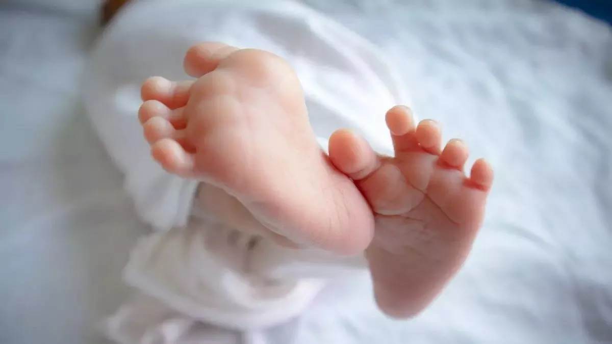 ncr delhi newborns body found in seelampur police investigation underway