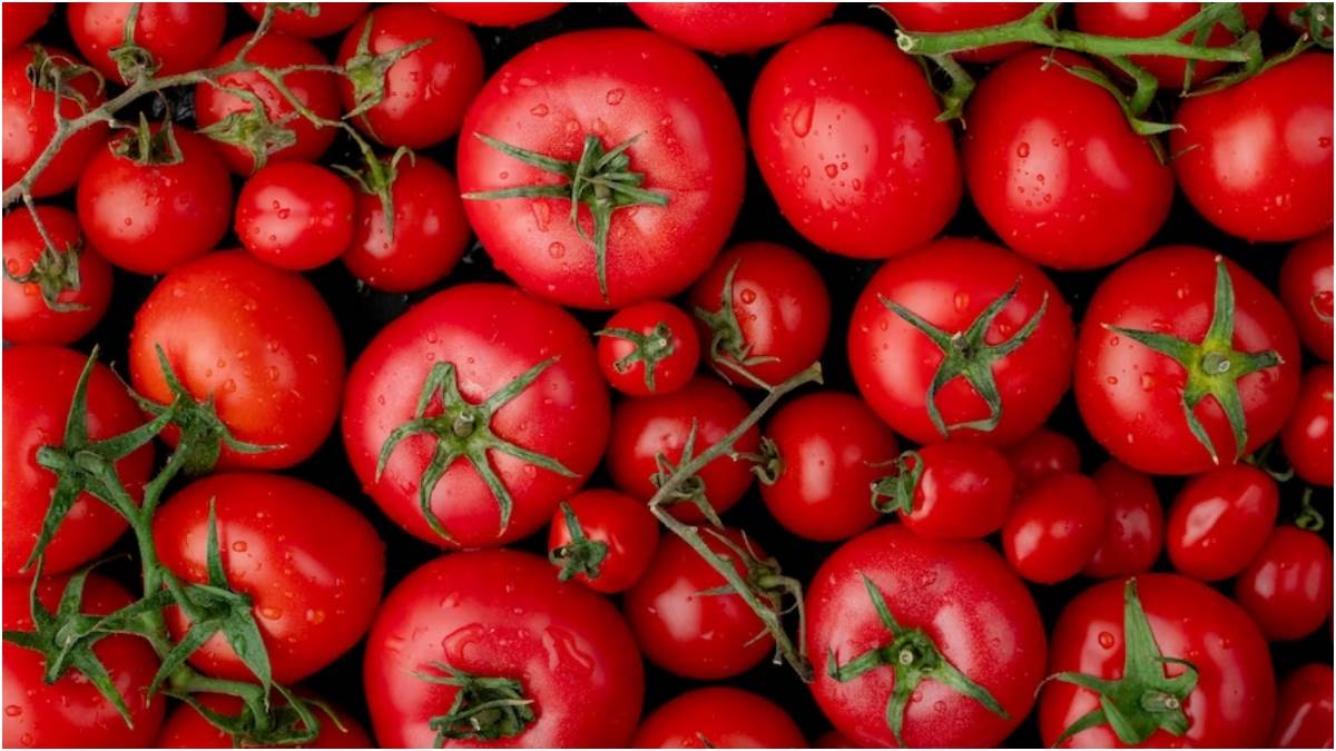https://www.jagranimages.com/images/newimg/28062023/28_06_2023-tomato_alternative_23454723.jpg