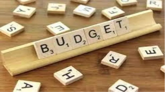 रियल एस्टेट सेक्टर को Budget 2024 से है काफी उम्मीदें