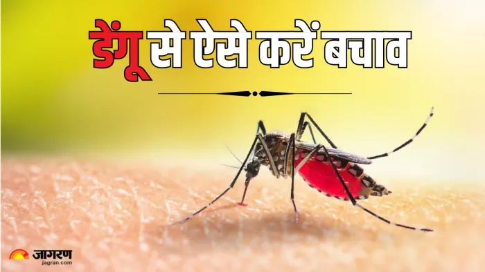 इन तरीकों से करें मानसून में डेंगू से बचाव (Picture Credit- Freepik)