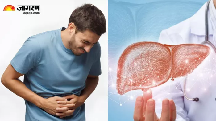 क्या है Fatty Liver Disease, किन लोगों को रहता है ज्यादा जोखिम? (Image Source: Freepik)