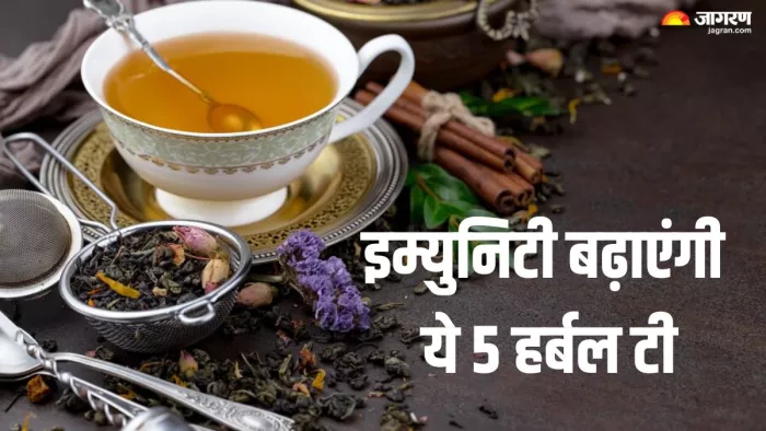 मानसून में इम्युनिटी बढ़ाएंगी ये हर्बल चाय (Picture Credit- Freepik)